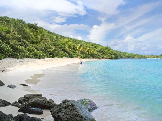 Hawksnest Beach - shoreline view with clear waters