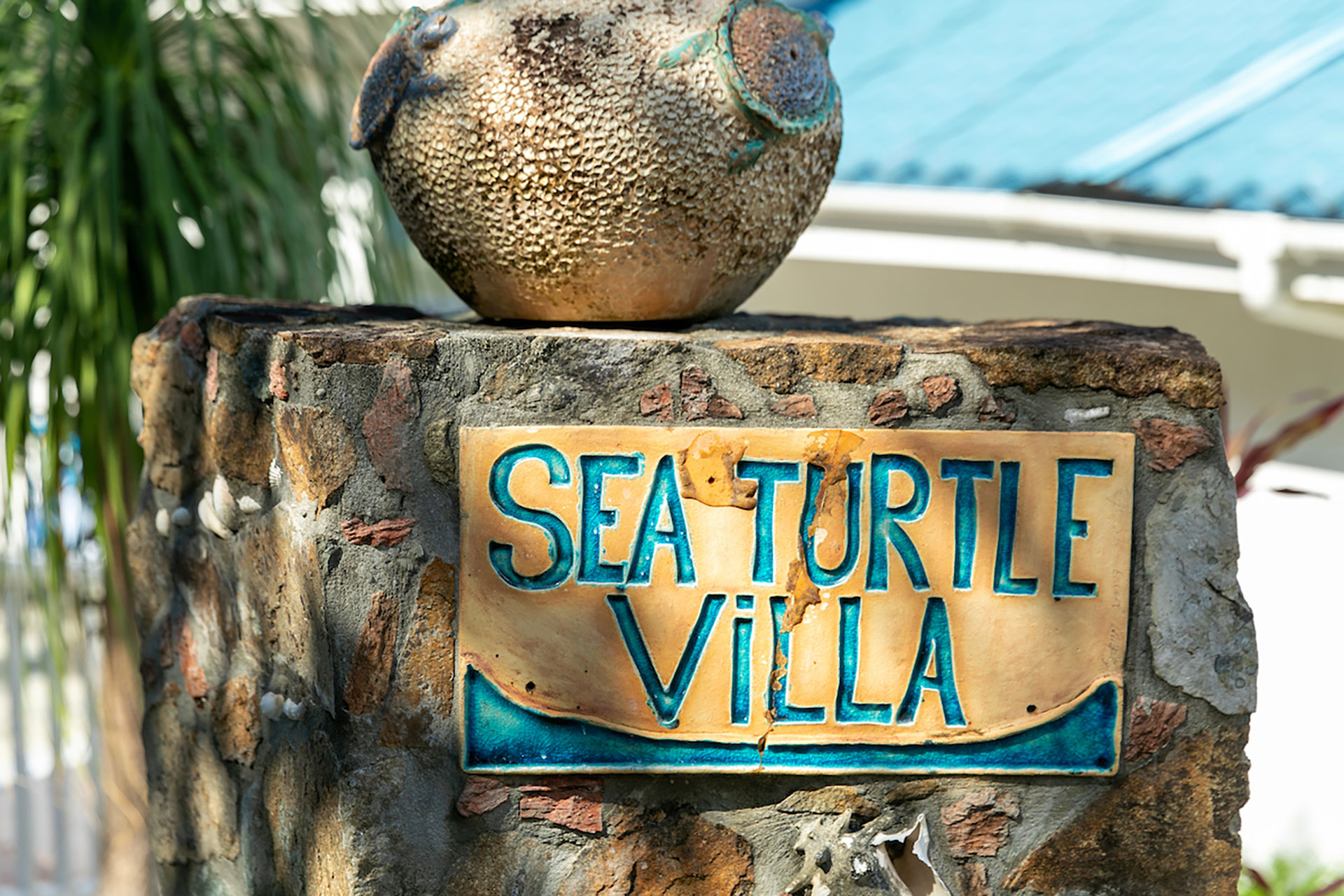 Sea Turtle Villa detail