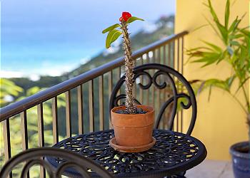 South Shore Villa detail