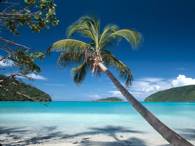 Virgin Islands National Park, St. John - lush hiking trails and tropical forest